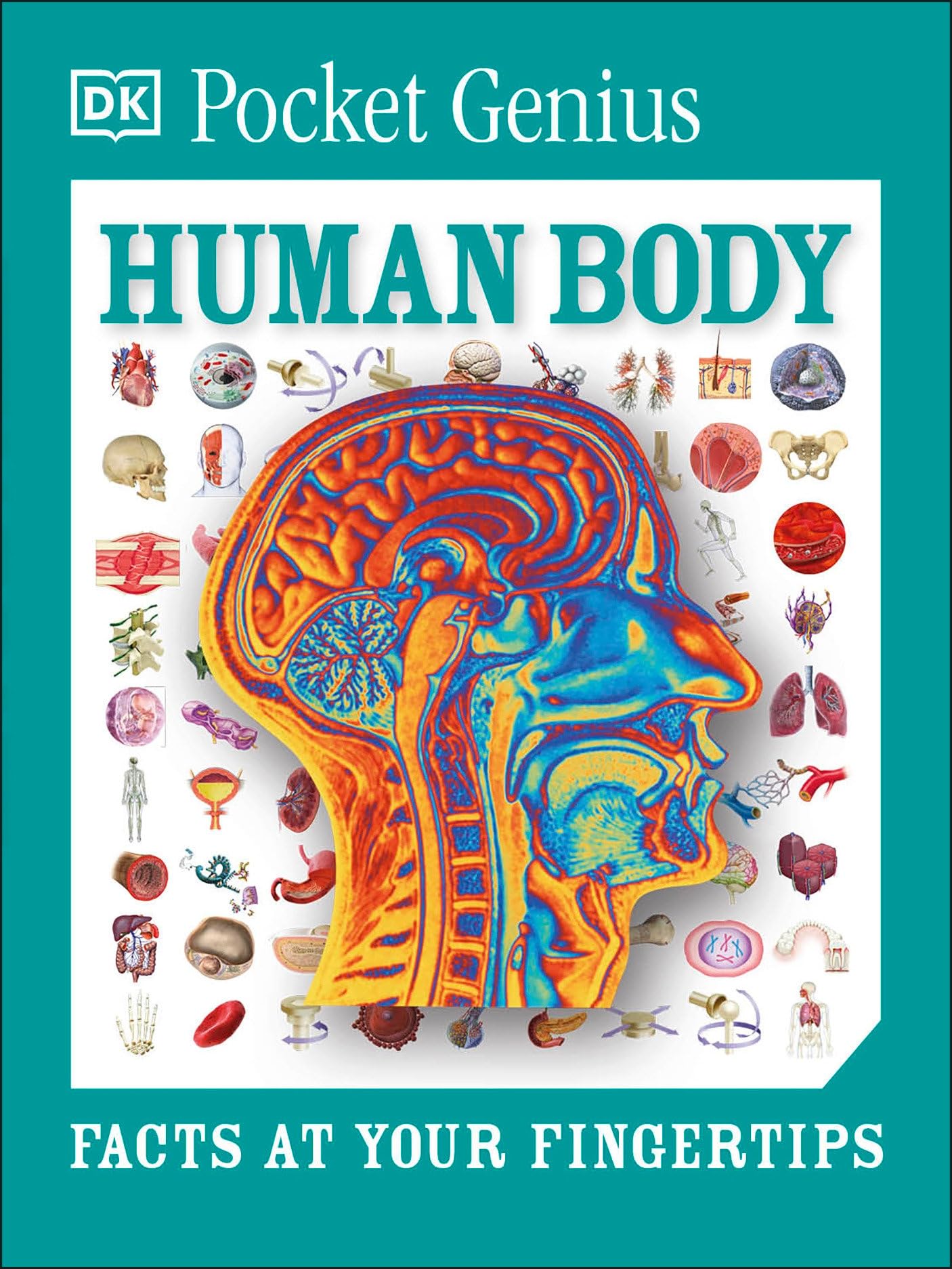 Pocket Genius: Human Body Book - Essential Facts & Anatomy Guide for Kids & Adults | Perfect for Homeschooling & Science Learning
