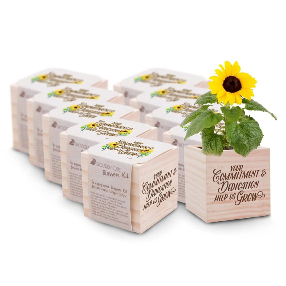 10 Pack Plant Cube Appreciation Gift Set - Sunflower Seeds, Peat Pellets & 3-Inch Wooden Planters - Perfect Thank You Gifts for Employees, Teachers, Nurses - Great for Office Decor, Classroom Activities & Wellness Gifts