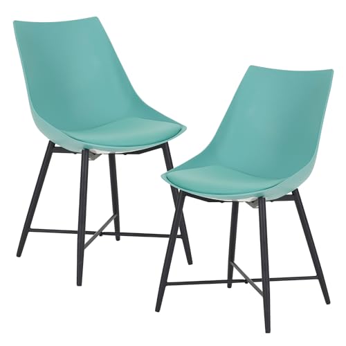 2-sage(set of 2)