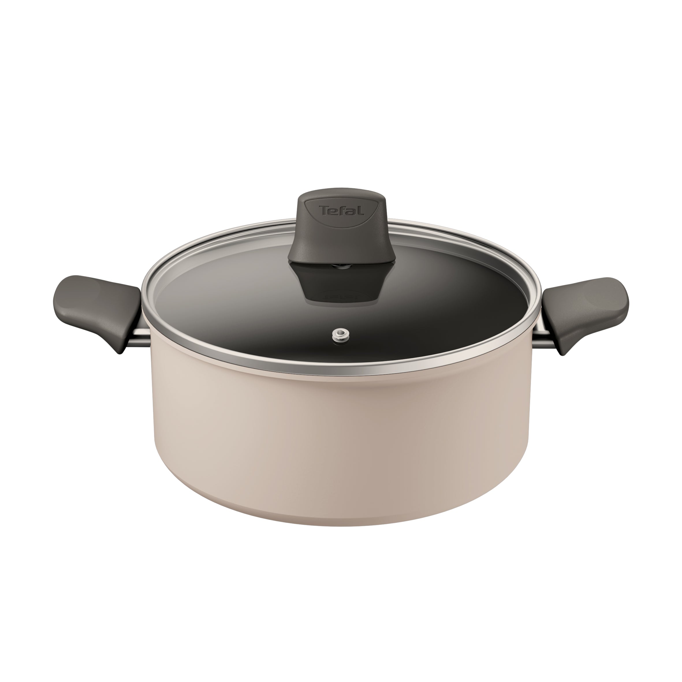 Tefal Revive Ceramic Induction Non-Stick Stewpot with Lid - 24cm (9.4 Inch) Heavy Duty Cookware for Soups, Stews & Slow Cooking - Perfect for Gas, Electric & Induction Stoves