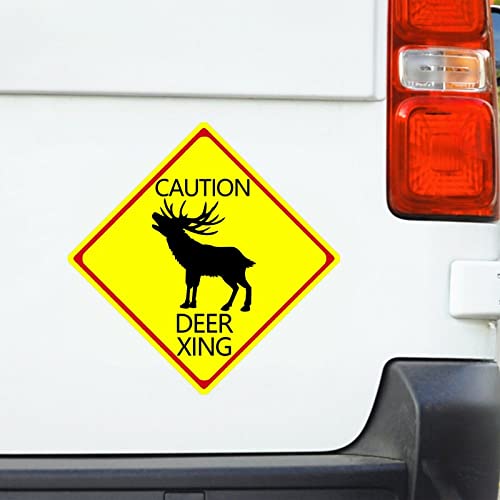 Deer-6