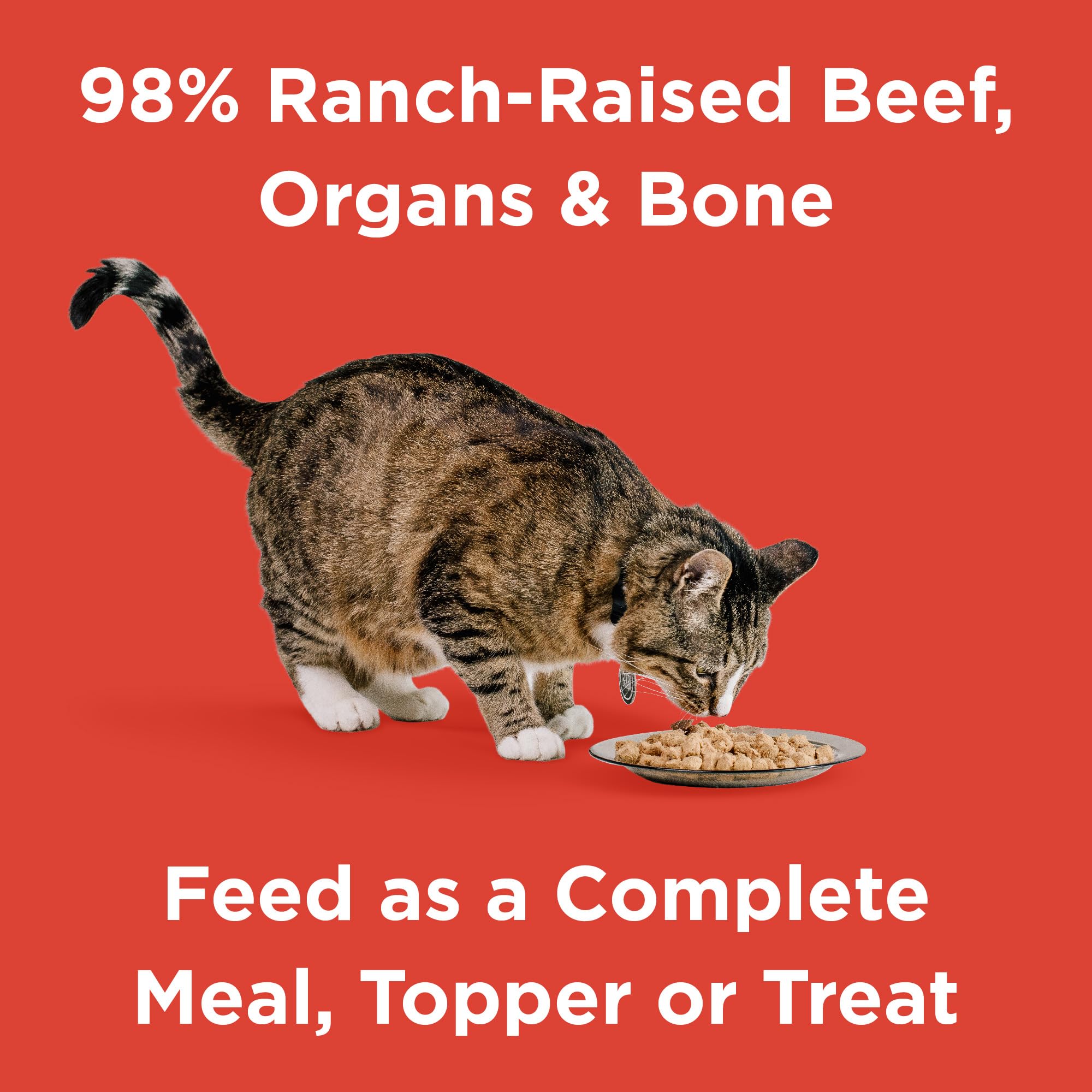 BIXBI Rawbble Freeze Dried Cat Food - Beef Recipe 10oz | 97% Meat & Organs | Grain-Free Raw Cat Food | USA Made in Small Batches | Perfect for Meals, Treats or Food Toppers | Ideal for Indoor Cats, Senior Cats & Picky Eaters