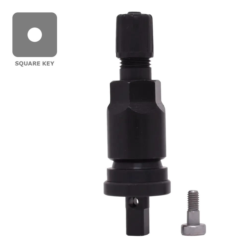 Dill VS925B TPMS Black Stem Service Kit - Compatible with GM, Ford, Chrysler, Dodge, Jeep & Subaru Vehicles | Tire Pressure Monitoring System Replacement Parts | Perfect for DIY Auto Repair & Maintenance