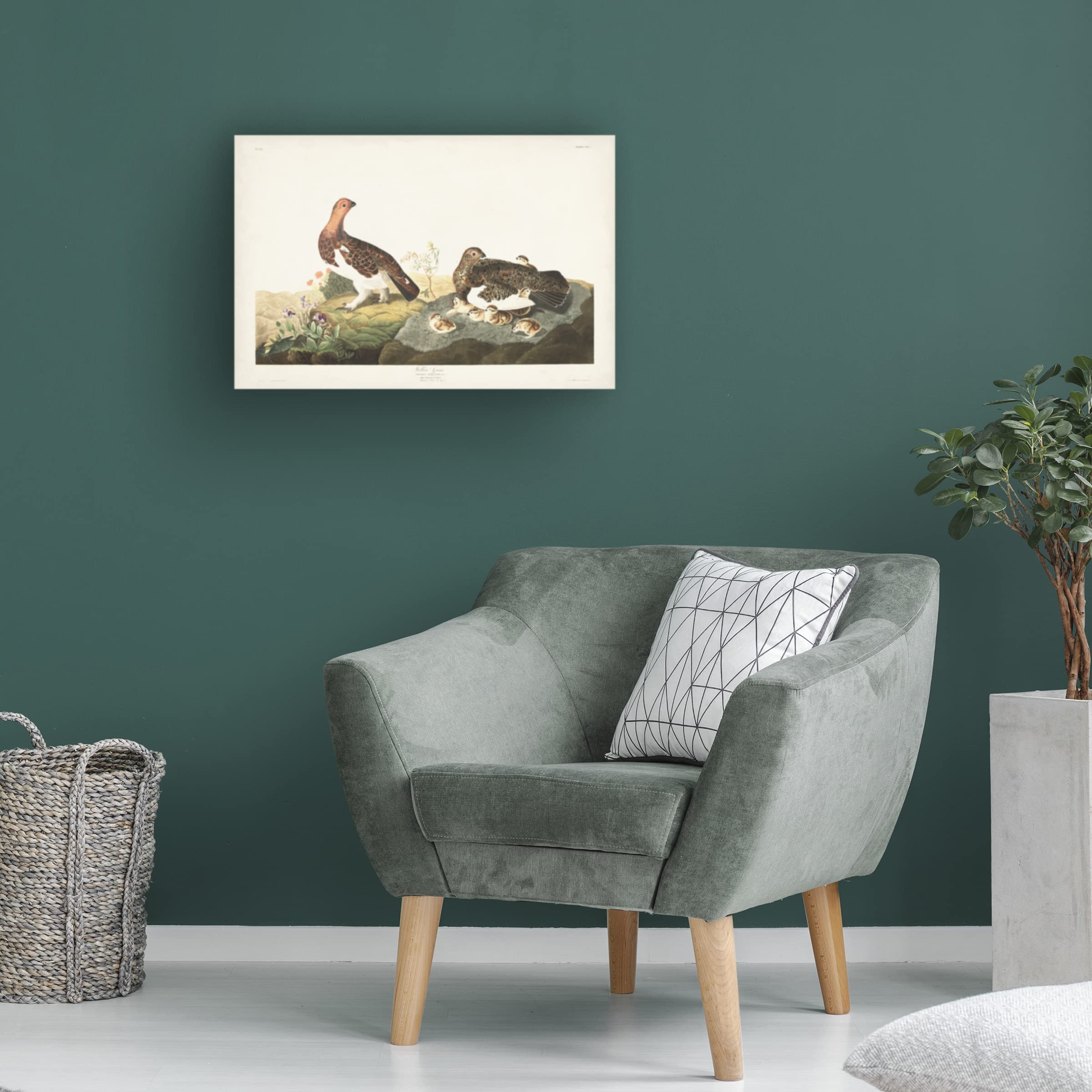 John James Audubon Willow Grouse Canvas Art Print - 22x32 Inches Framed Wildlife Bird Painting - Perfect for Living Room, Bedroom & Office Wall Decor