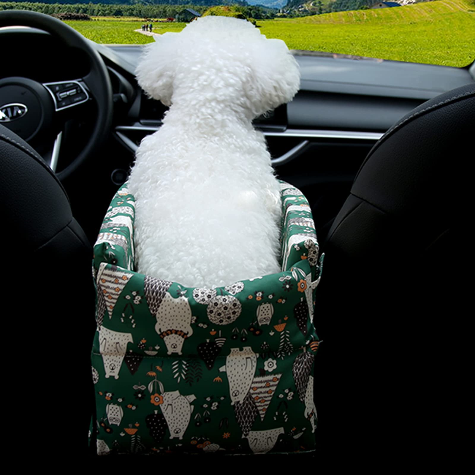 Dog Car Seat for Small Dogs & Cats - Pet Booster Seat with Removable Cover & Safety Tethers - Travel Safe & Comfortable for Road Trips & Daily Commutes