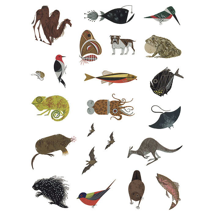 Charley Harper Tree of Life Sticker Book - 500+ Nature Inspired Stickers for Scrapbooking, Journals & DIY Crafts | Perfect for Art Lovers & Wildlife Enthusiasts