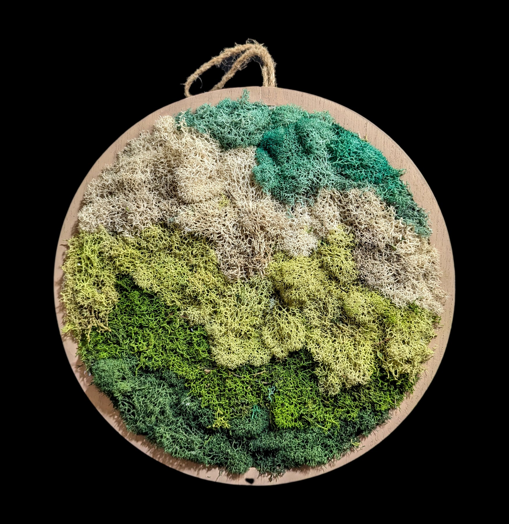 Circular Moss Wall Panel - Natural Green Living Wall Decor for Home & Office - Perfect for Indoor Vertical Gardens, Living Room, and Office Spaces