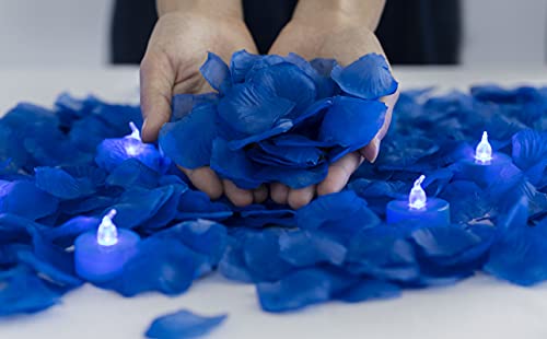 Blue Lights with Blue Rose Petals