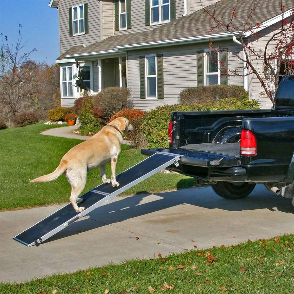 Rage Powersports DR-07XW 82-Inch Lightweight Extra Wide Folding Aluminum Pet Ramp for Dogs & Cats - Black | Portable Vehicle Access Ramp for SUVs, Trucks & Vans