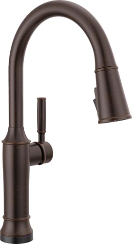 Venetian Bronze