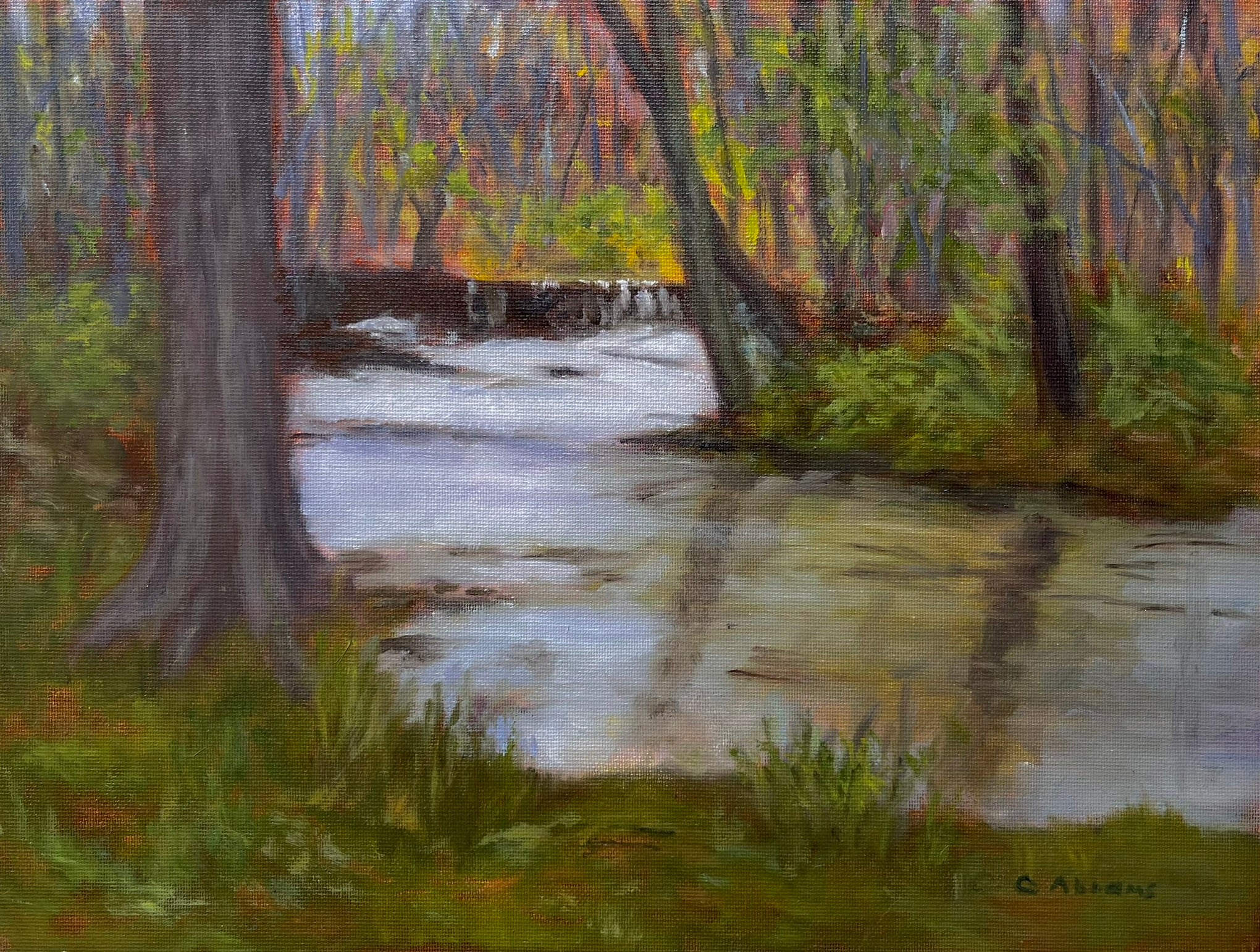 Celia Abrams: Ridley Creek Park Falls - Stunning Nature Photography for Home Decor & Wall Art - Perfect for Living Rooms, Offices & Gifts