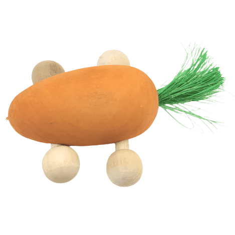 Rolling Carrot Toy for Babies - Moss Hollow Push & Pull Wooden Toddler Toy - Perfect for Early Learning, Motor Skills Development & Playtime Fun