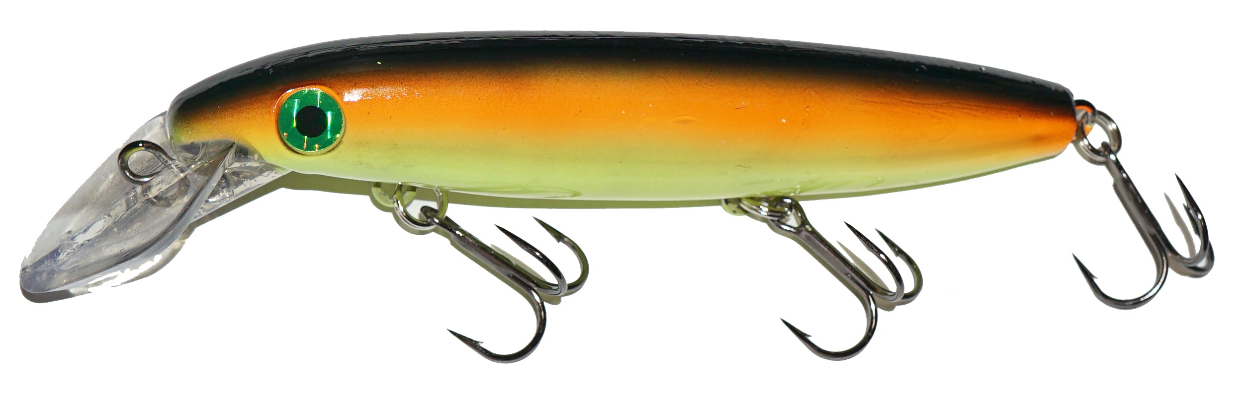 blue back shad