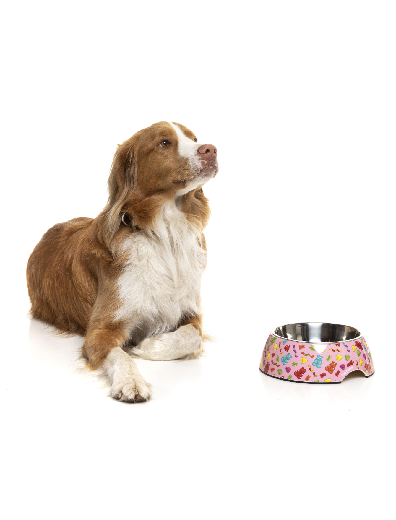 FuzzYard Easy Feeder Slow Eating Pet Bowl for Dogs & Cats - Non-Slip Jelly Bear Design (Small, Medium, Large) - Perfect for Fast Eaters & Messy Pets at Home or Travel