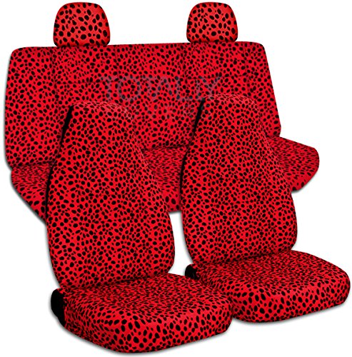 Ladybug