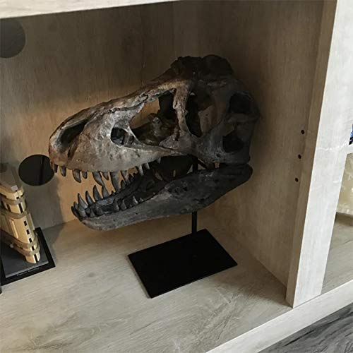 Gothic Dinosaur Skull Statue - Resin Home Decor Sculpture for Living Room, Office, TV Cabinet & Wine Bar | Unique Halloween, Birthday Gift for Dinosaur Lovers & Gothic Decor Enthusiasts | Perfect for Dark Academia Theme & Man Cave Decor