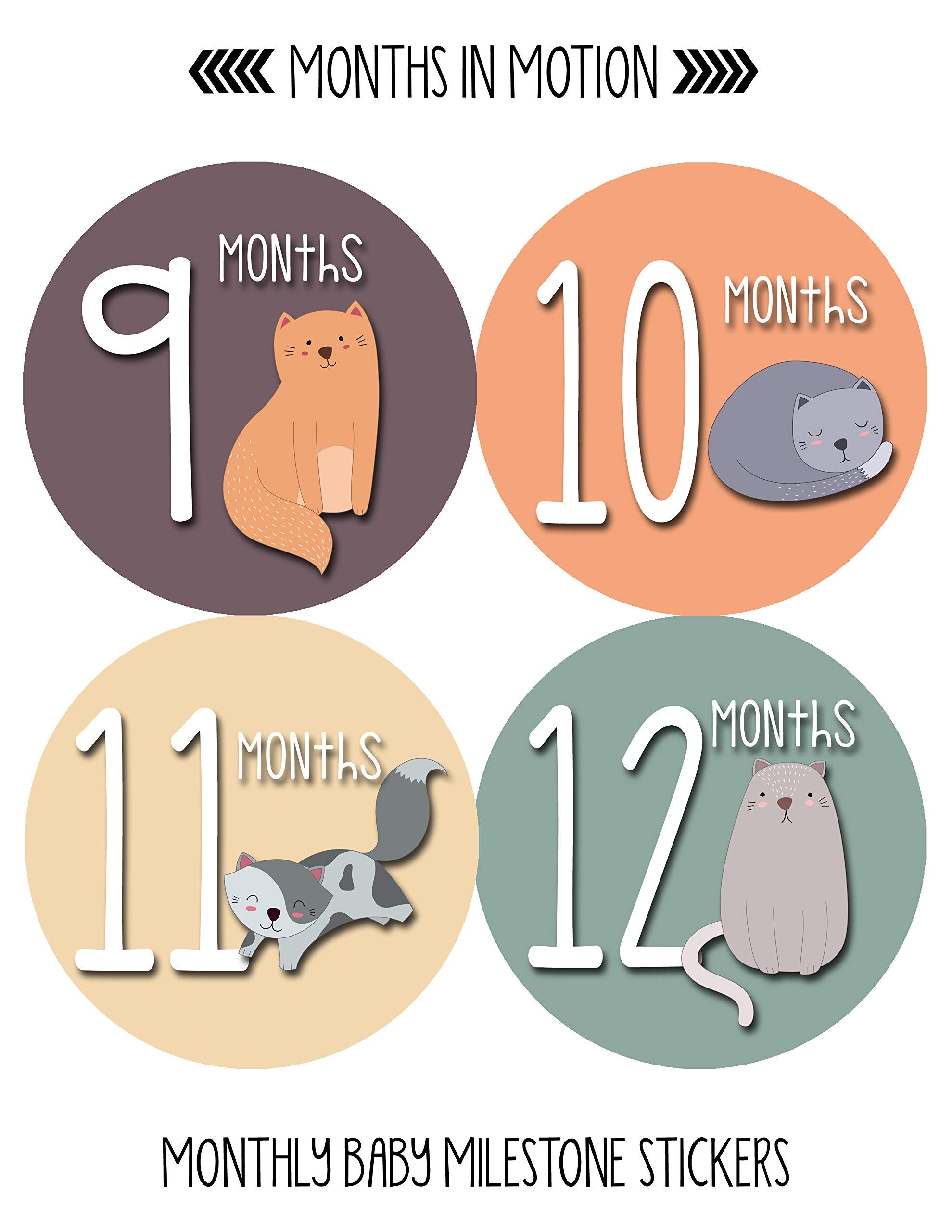 Baby Monthly Milestone Stickers for Newborn Girls - Cute Cat & Kitten Design - Perfect for Baby Photo Shoots, Scrapbooking & First Year Memory Keepsakes