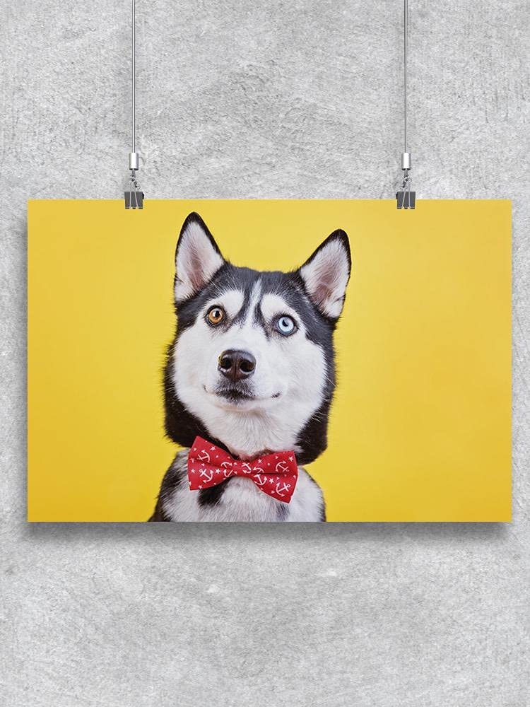 Adorable Husky Dog with Ribbon Poster - Perfect for Home Decor, Gifts, and Pet Lover Wall Art