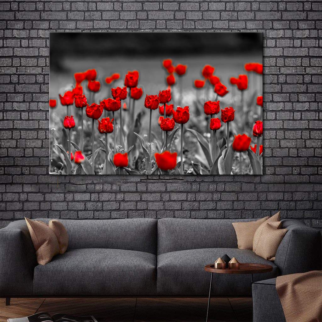 AMEMNY Black White Red Poppy Flowers Wall Art - Hand Painted Canvas Landscape Painting - Floral Picture Decor for Living Room, Bedroom, Bathroom - Stretched Framed Ready to Hang - Perfect for Home, Office & Gift Giving