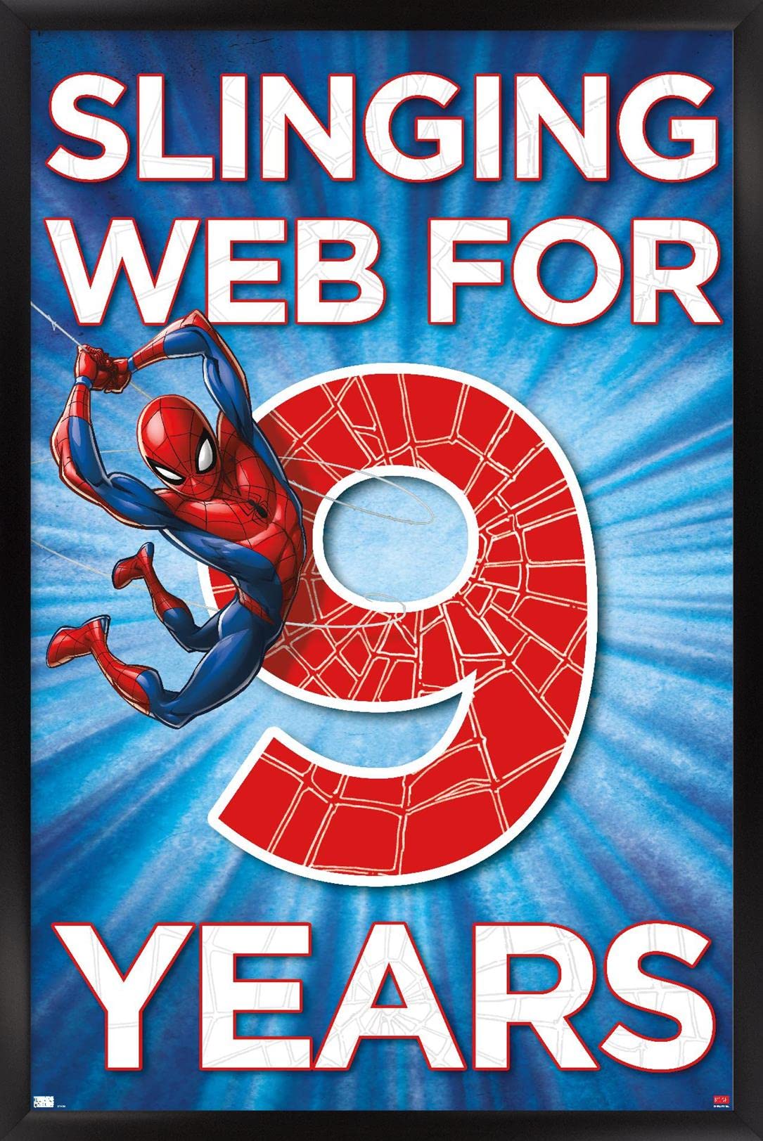 A Birthday Surprise with Spider-Man