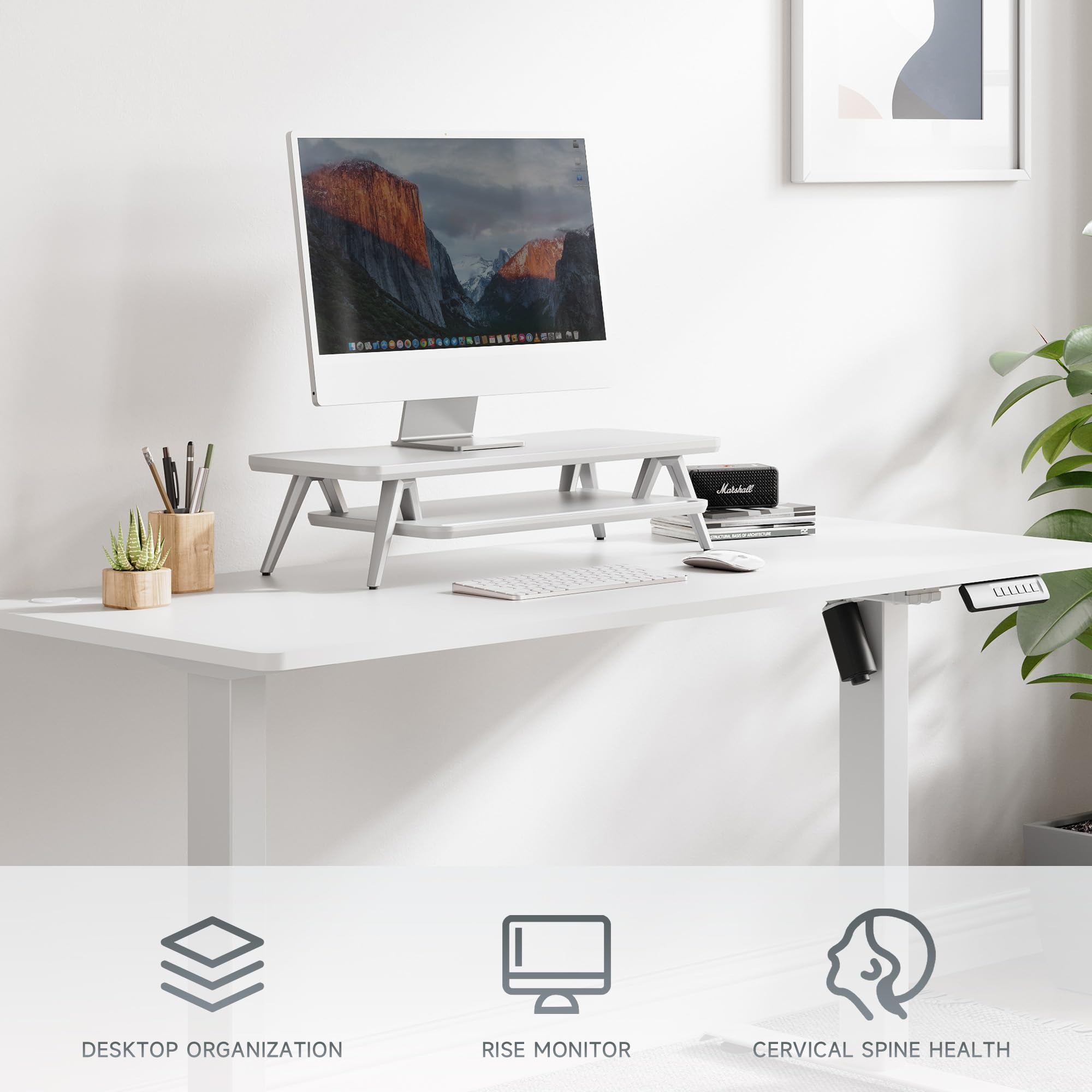 23.6 Inch Wood Monitor Stand with Storage Organizer & Cable Management - Ergonomic Desk Riser Shelf for Computer Monitors, Laptops - Perfect Office Desk Accessory for Home & Workspace Organization