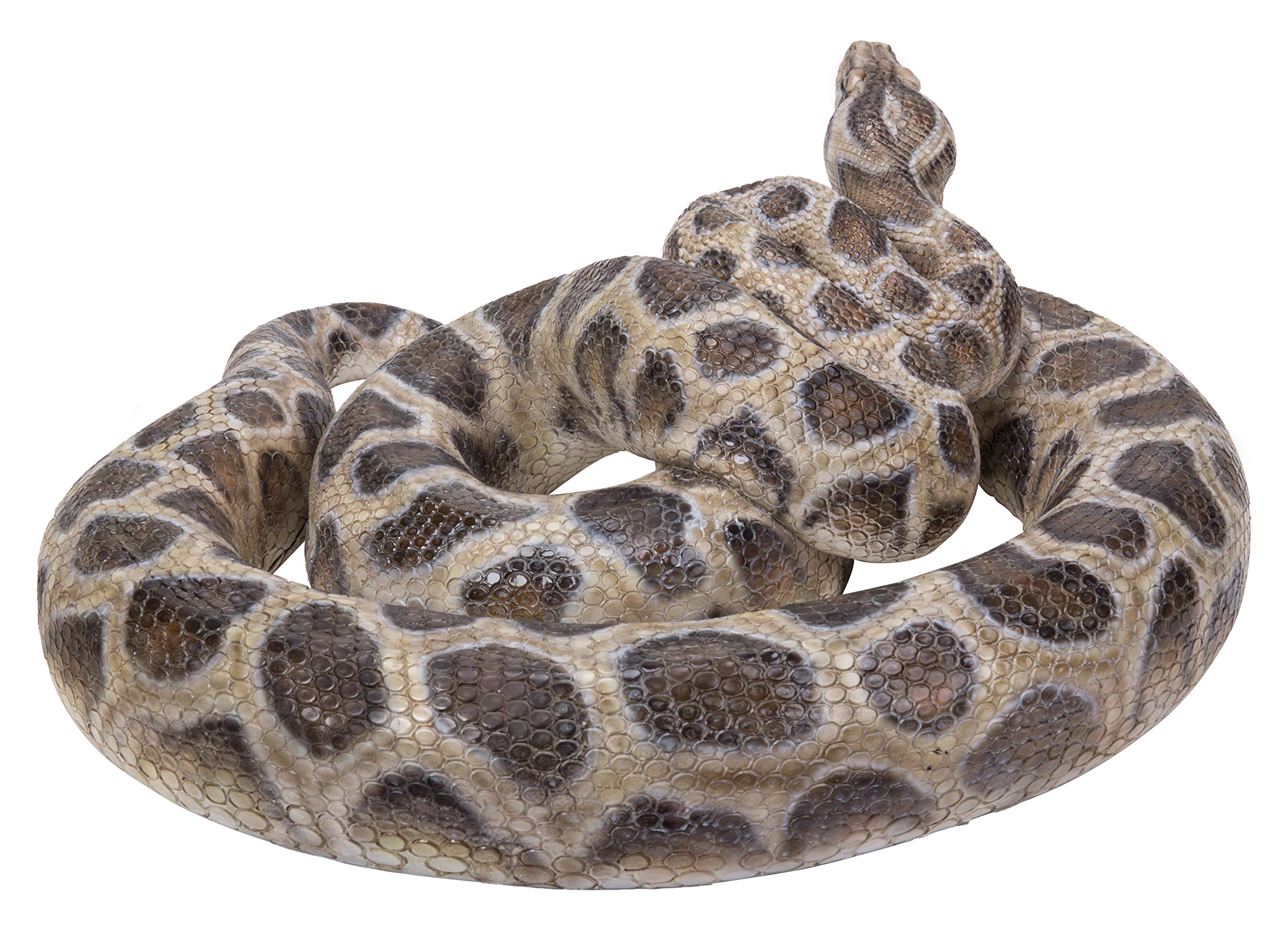 Hi-Line Gift 87680-A Realistic Curled Up Python Snake Statue - Home Decor, Office Desk Ornament, Garden Sculpture, Unique Gift for Reptile Lovers