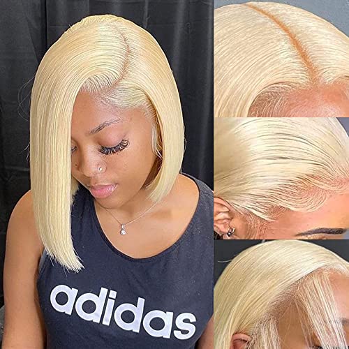 613 Color Lace Front Wig