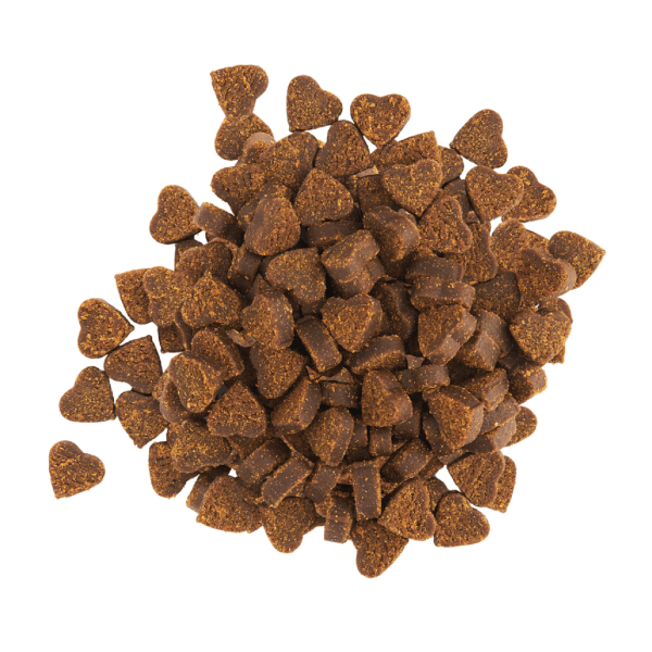 N Bone Ferret Soft Treats - Bacon Flavor | Healthy & Delicious Snacks for Ferrets | Perfect for Training, Rewards & Bonding Time