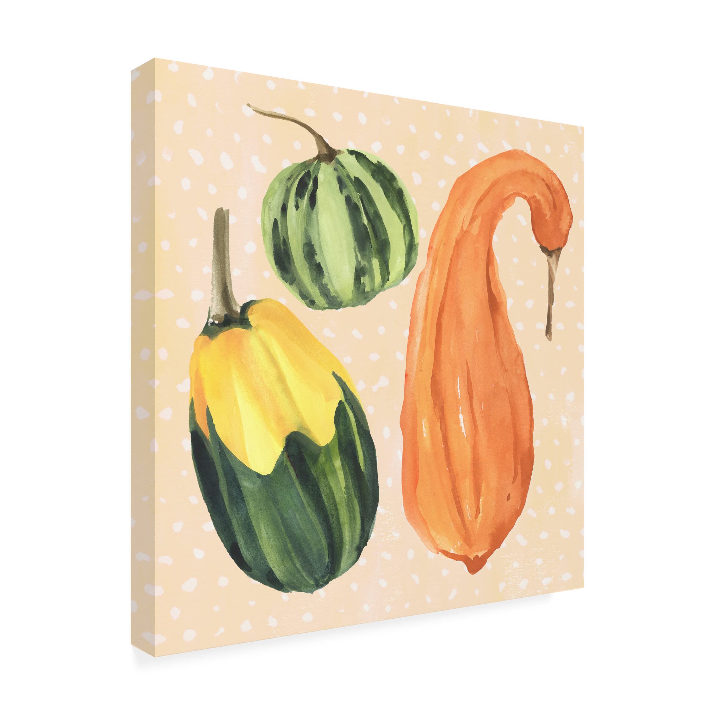 Annie Warren 'DecoratIVe Gourd IV' Canvas Wall Art Print - Modern Home Decor for Living Room, Bedroom & Office