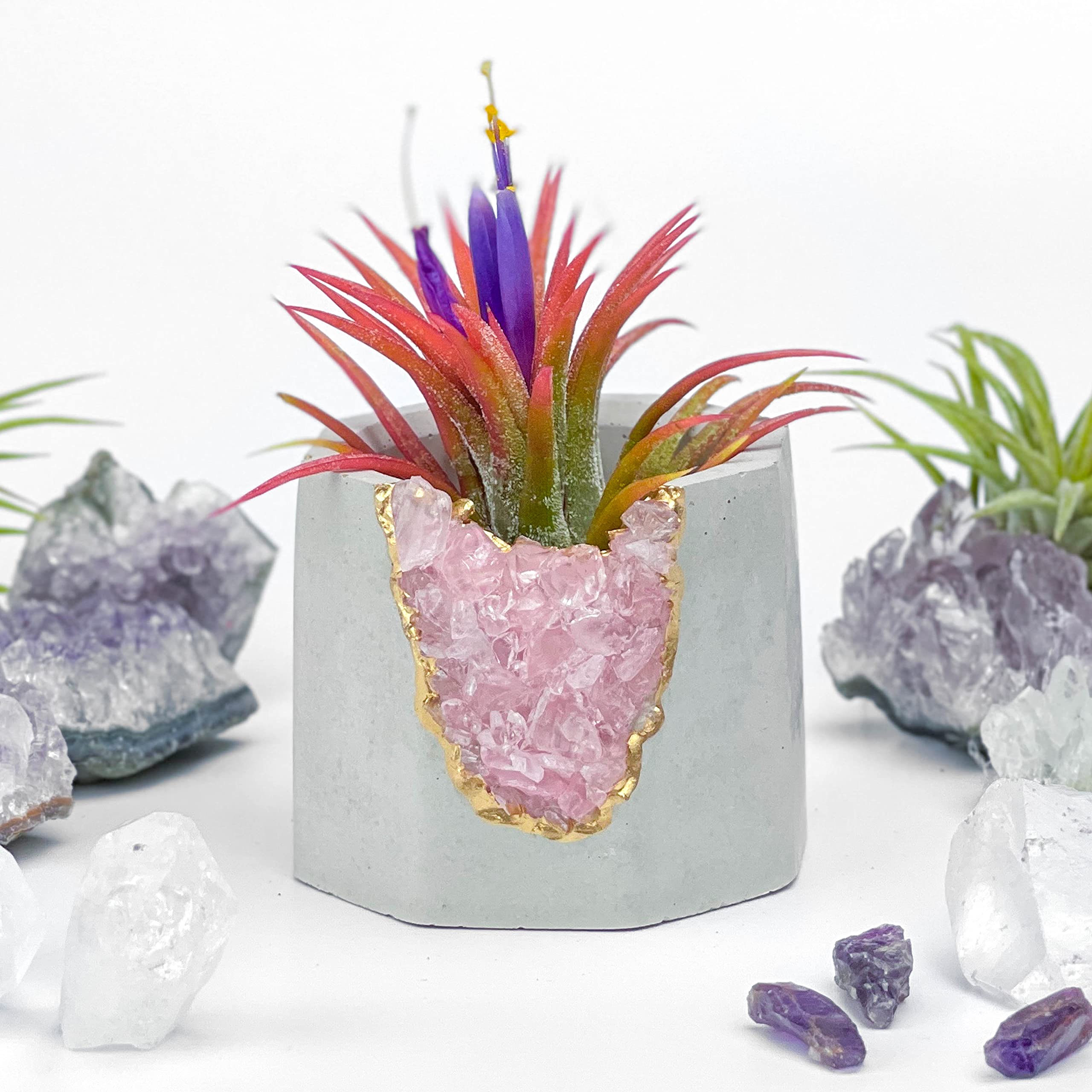 Geode Planter with Raw Rose Quartz Crystal - Mini Succulent & Air Plant Holder - Concrete Candle Pot for Home Decor, Office Desk & Healing Crystal Display