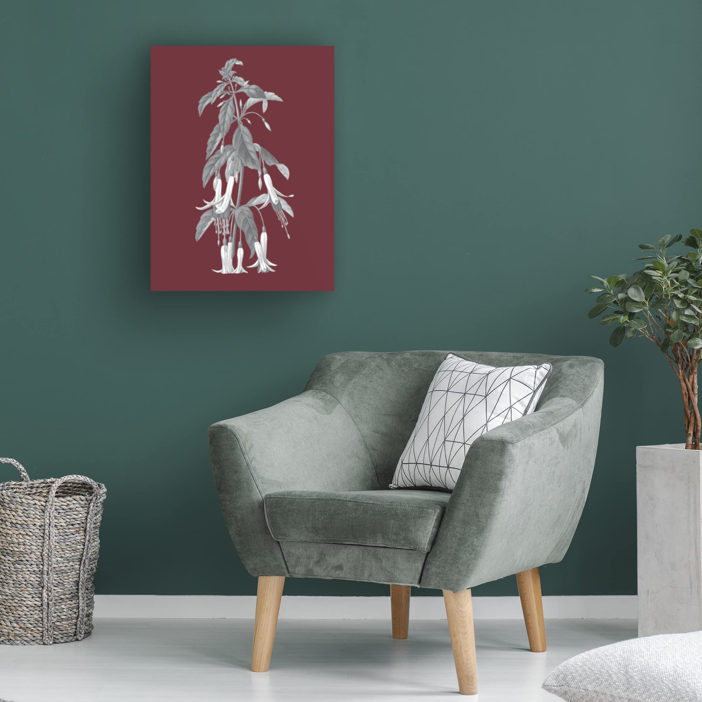 Trademark Fine Art 'Pomegranate Botanical I' Canvas Art Print by Wild Apple - Vibrant Floral Wall Decor for Living Room, Bedroom & Office
