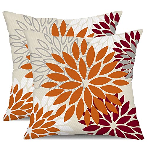 Orange Wine Red