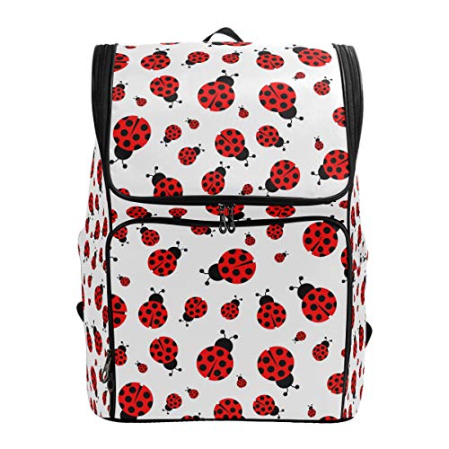Ladybug