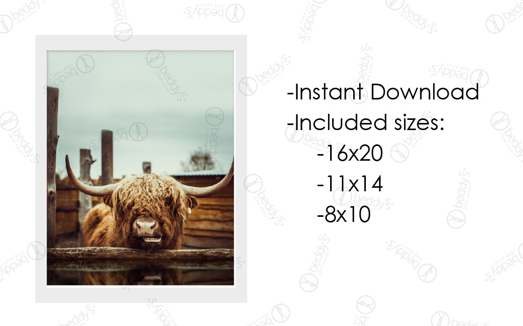 Steer Clear Artwork Digital Download - High Resolution Printable Wall Decor for Home, Office & Gifts | Perfect for Living Room, Bedroom & Creative Spaces