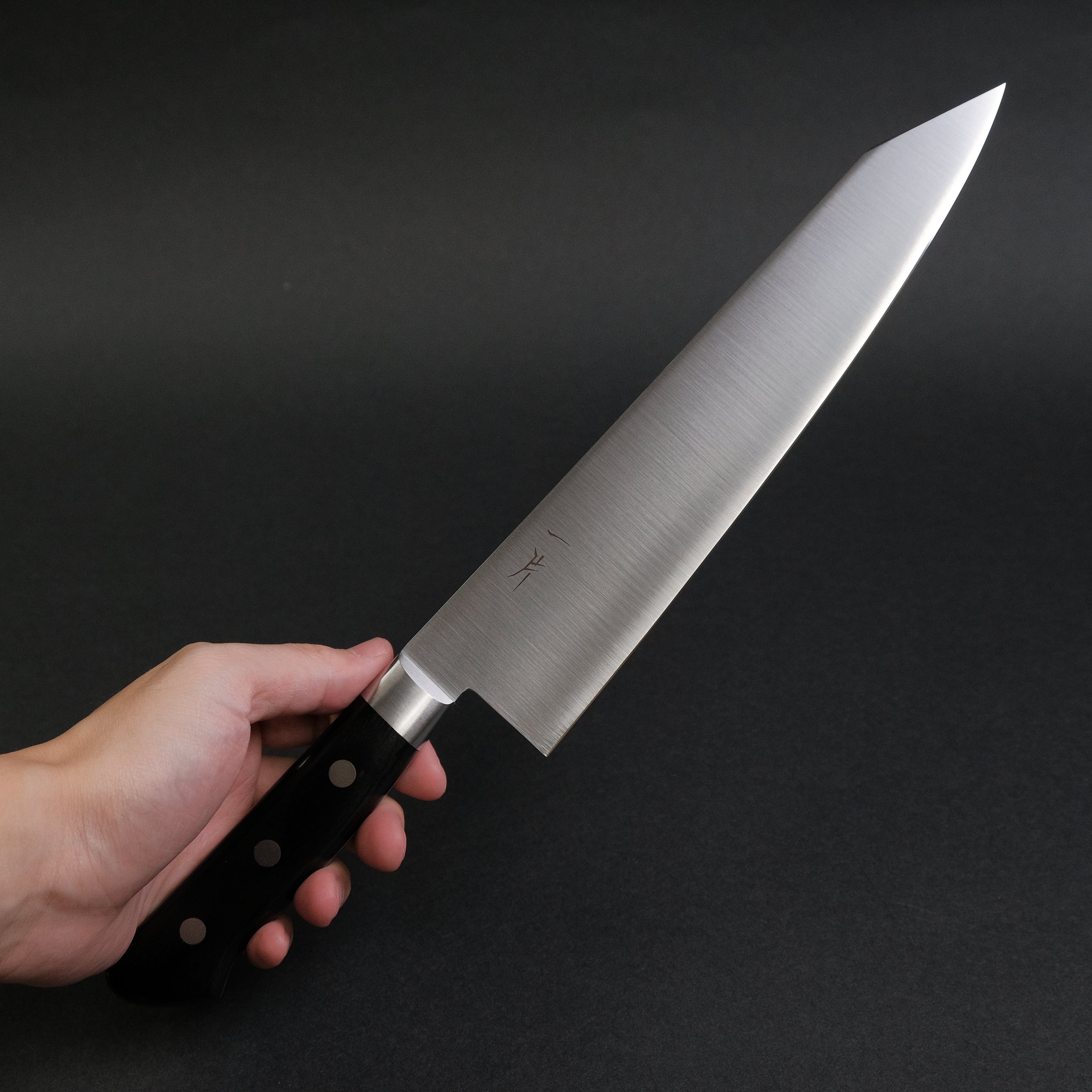 Hitohira FJ VG-10 Kiritsuke Gyuto Japanese Chef Knife 240mm with Pakkawood Handle - Perfect for Sushi, Sashimi & Precision Cutting