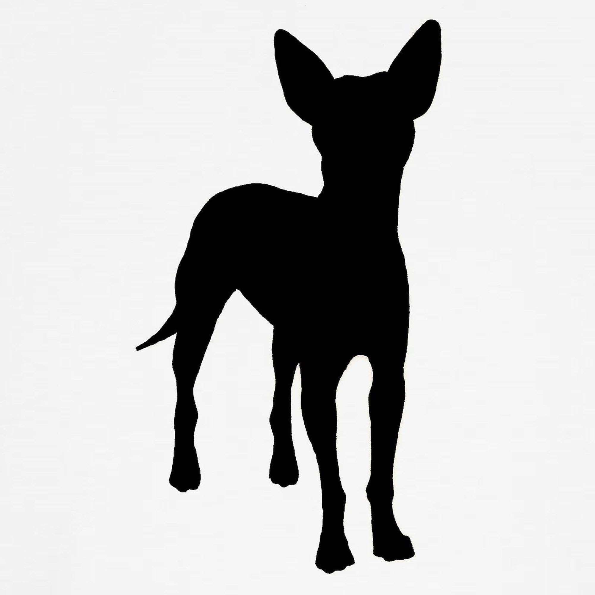 Xoloitzcuintli Dog T-Shirt - Funny Pet Clothing & Costume for Mexican Hairless Dogs | Perfect for Dog Lovers, Pet Parties & Halloween Costumes