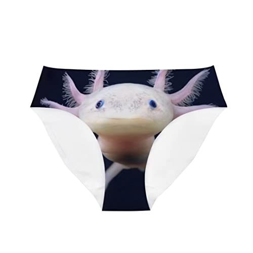 Salamander