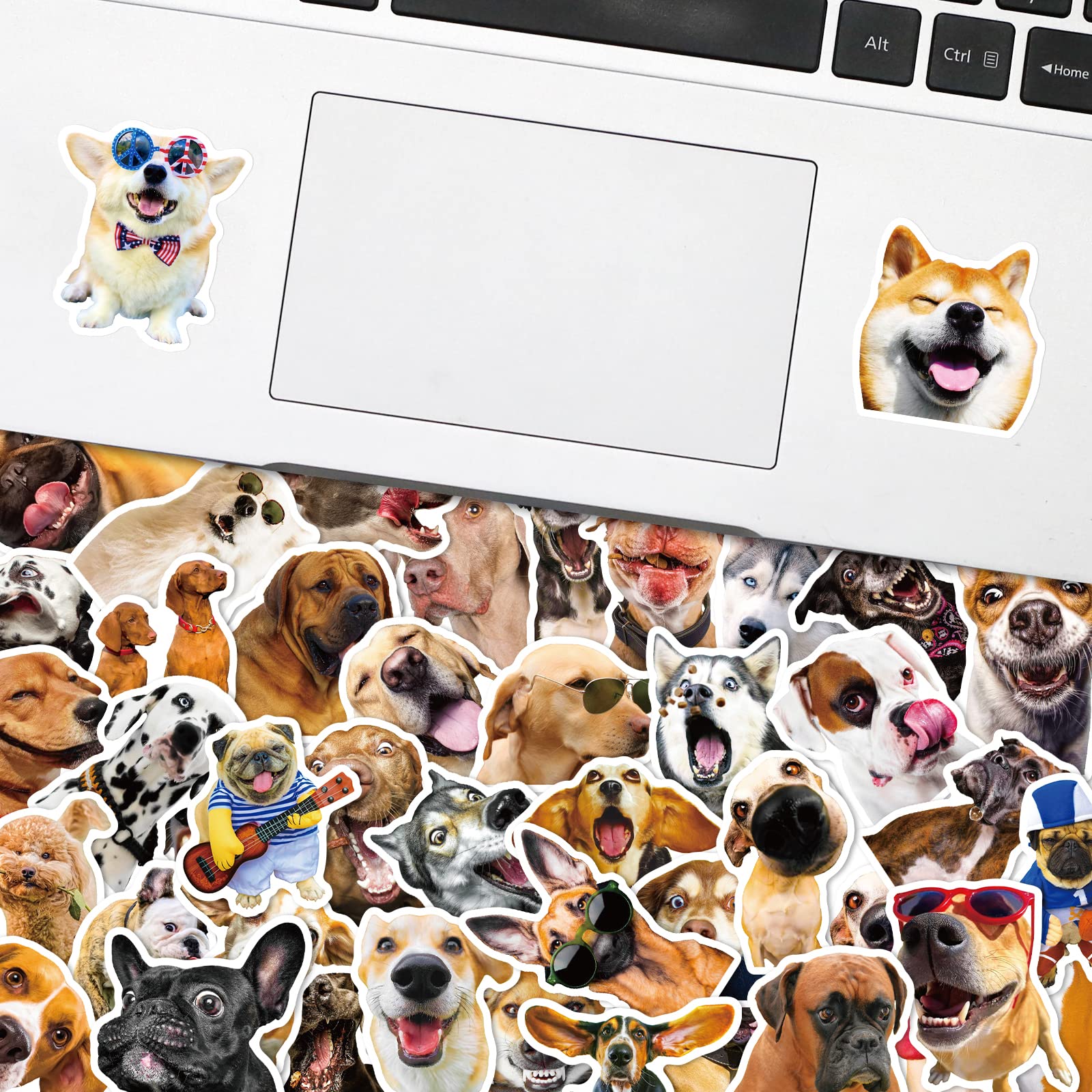 50PCS Cute Funny Dog Stickers - Waterproof Vinyl Decals for Kids Teens Adults - Perfect for Water Bottles, Laptops, Phones & Classroom Rewards - Great for DIY Crafts, Scrapbooking & Personalizing Belongings