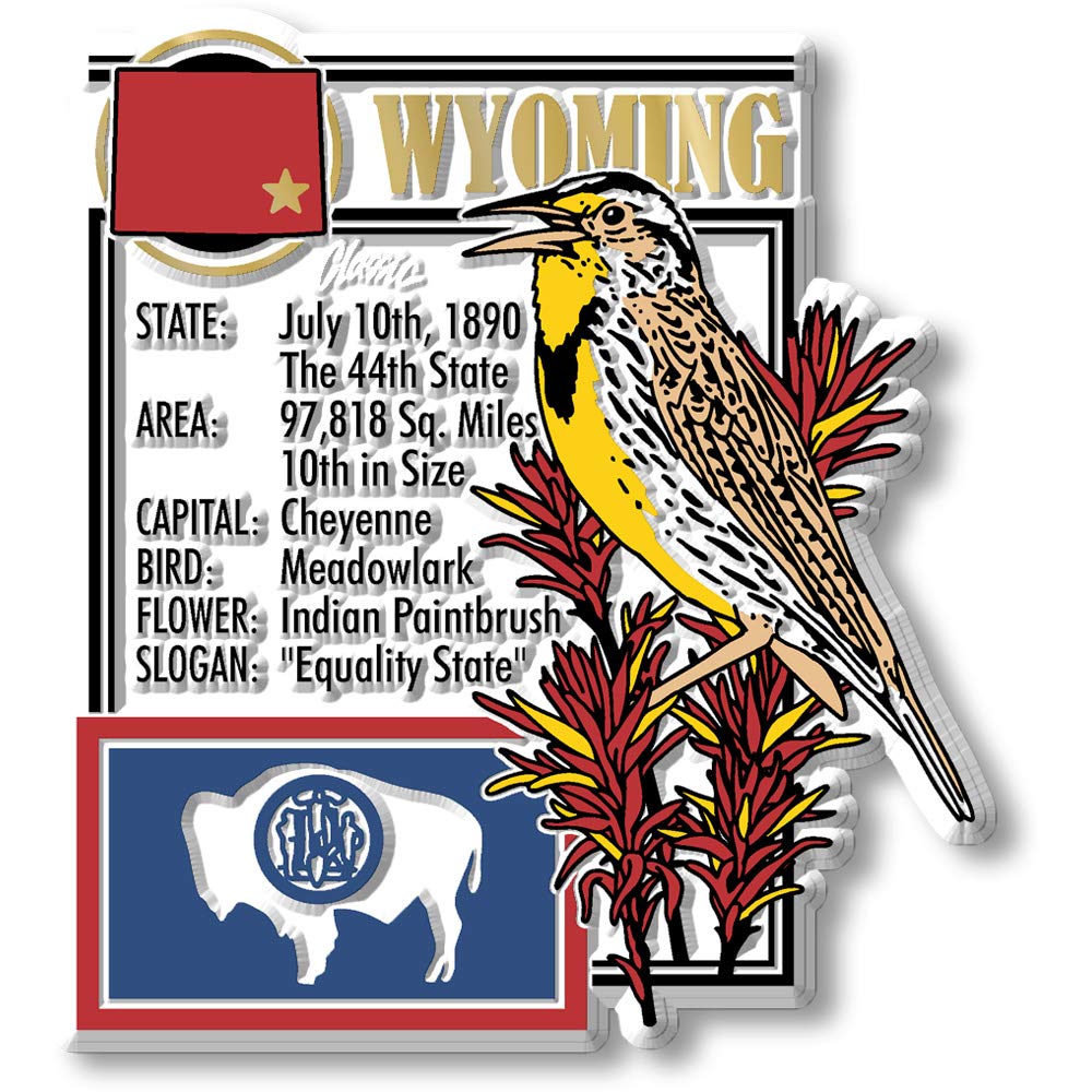 Classic Magnets USA State Souvenir Set - 51-Piece Collectible U.S. State Magnet Collection for Refrigerators, Office Decor & Travel Memories | Made in America
