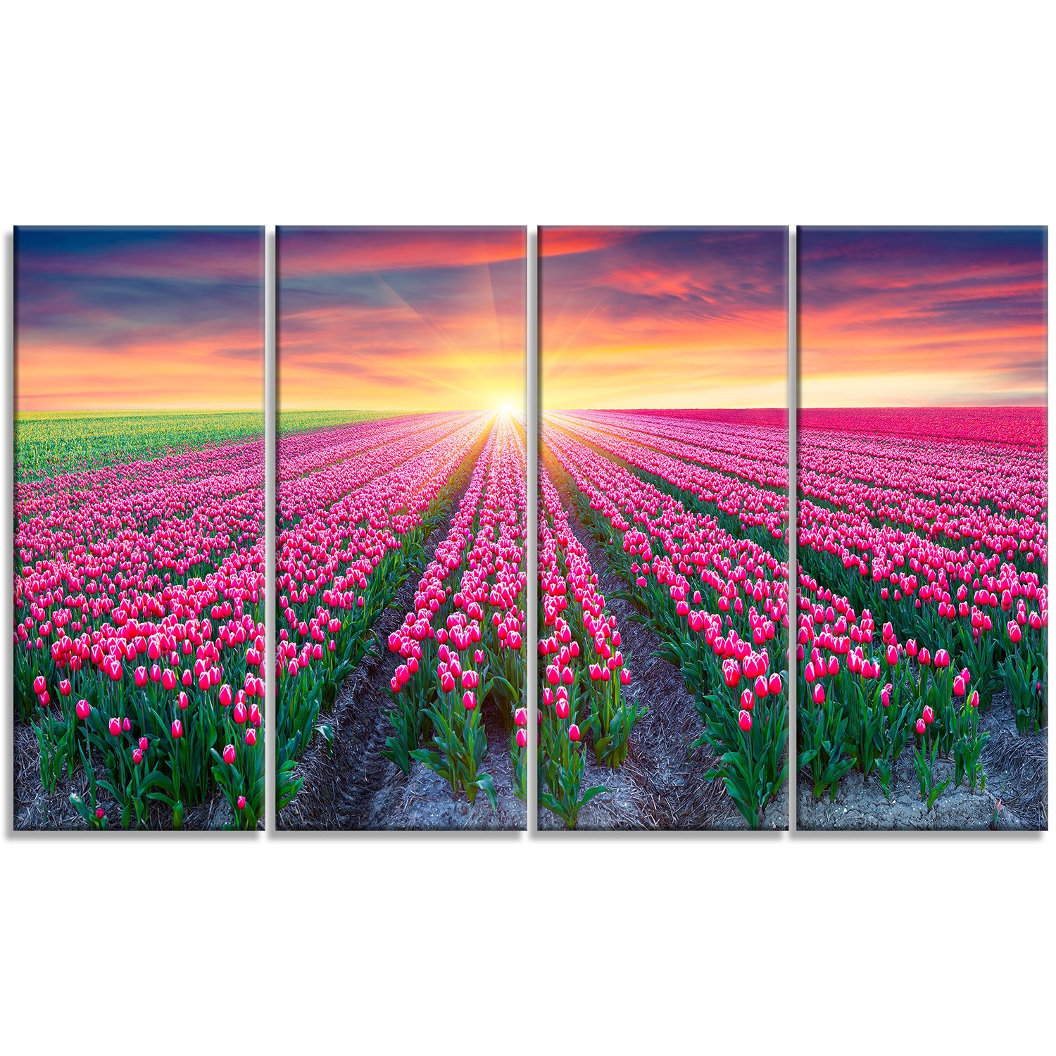 Designart Blooming Tulips at Sunrise - Metal Wall Art Decor - 4 Panels (48x28 Inches) - Perfect for Living Room, Bedroom & Office