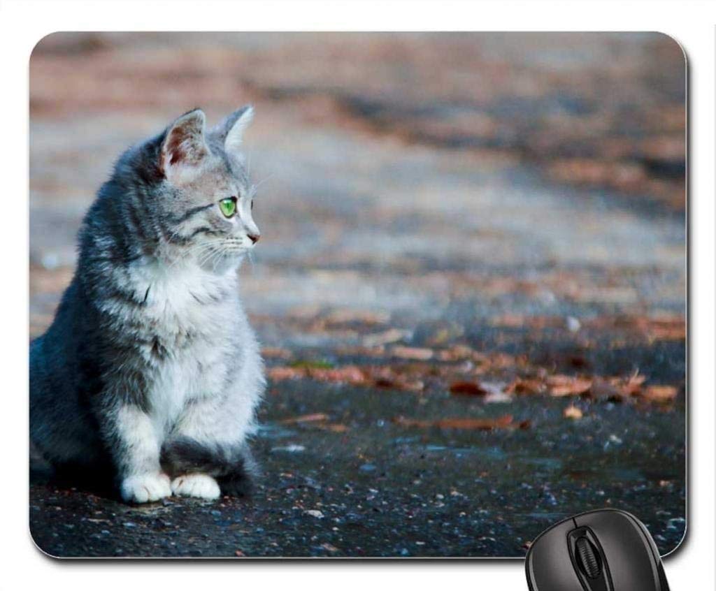 Cat-Themed Mouse Pad - Take Me With You Non-Slip Gaming Mousepad for PC & Laptop - Perfect for Office, Gaming & Home Use