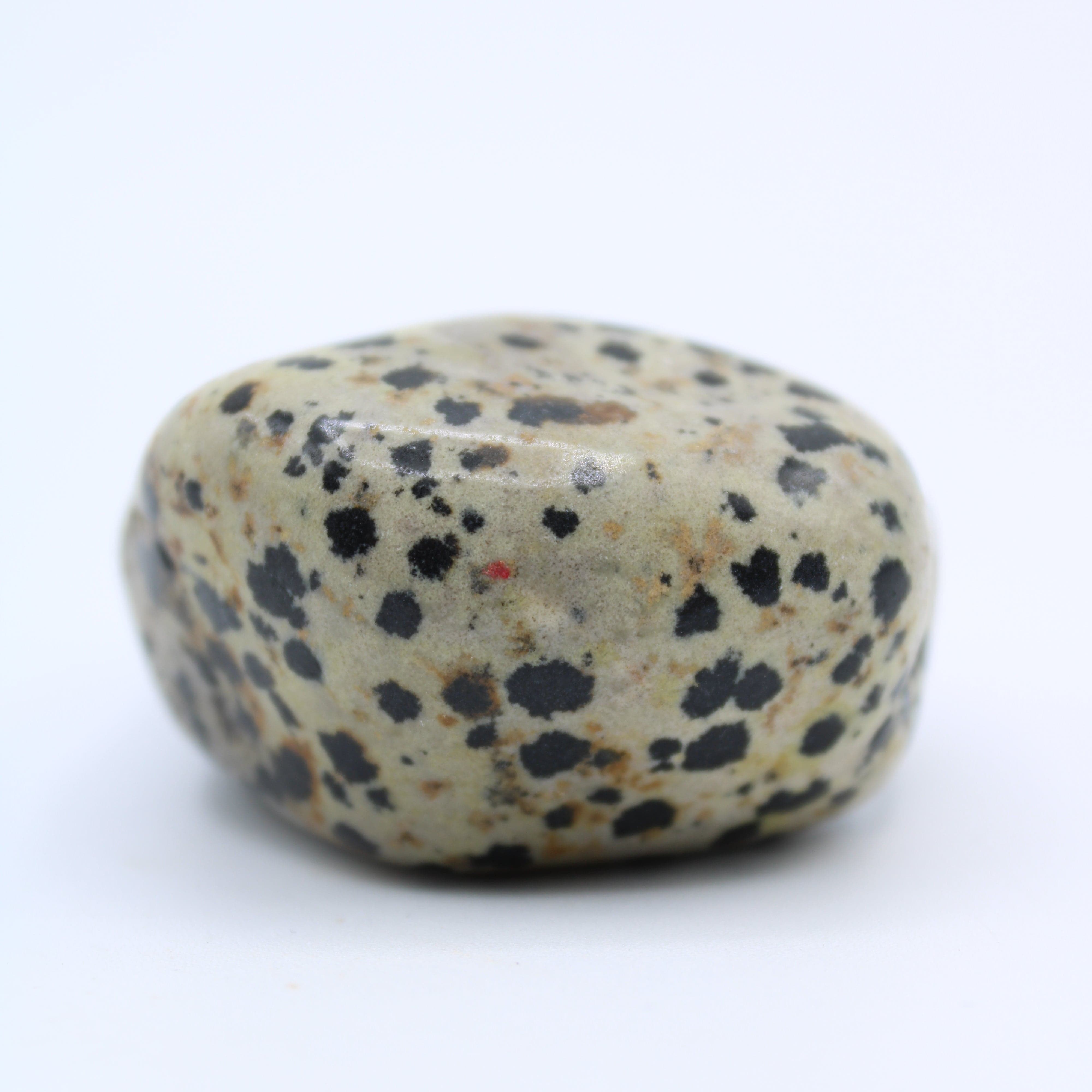 Natural Dalmatian Jasper Free Form Stone - Healing Crystal for Meditation, Energy Balance & Home Decor | Perfect for Yoga, Reiki & Spiritual Practices