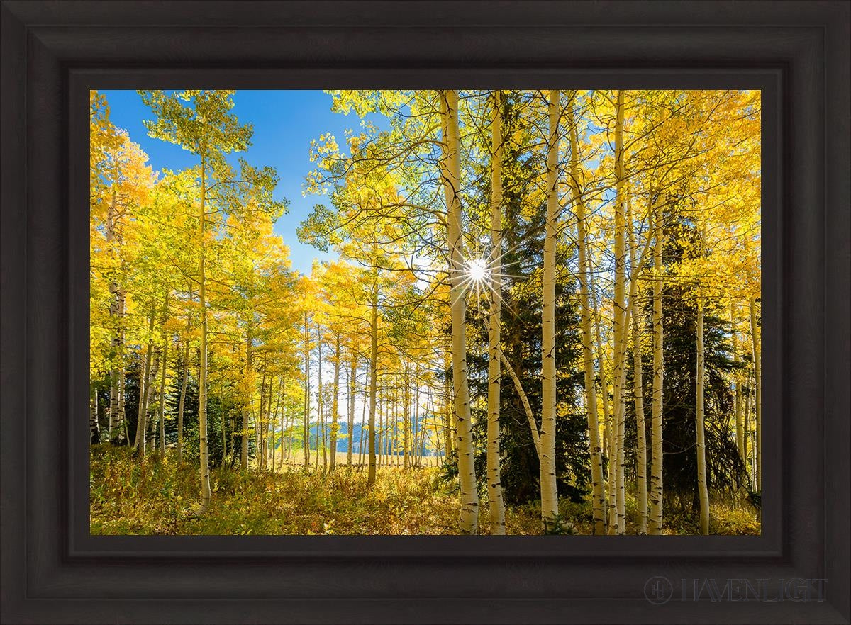 Autumn in the Rocky Mountains - Stunning Fall Foliage at Wasatch National Forest Utah | Perfect for Hiking, Photography & Nature Exploration
