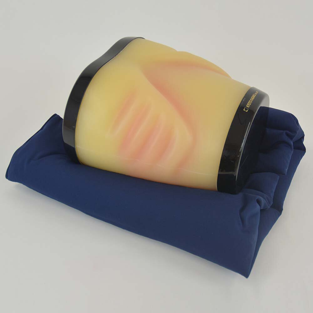 Dual Modality Human Abdomen Phantom for CT and Ultrasound Imaging - Ideal for Medical Training, Diagnostic Practice, and Radiology Research