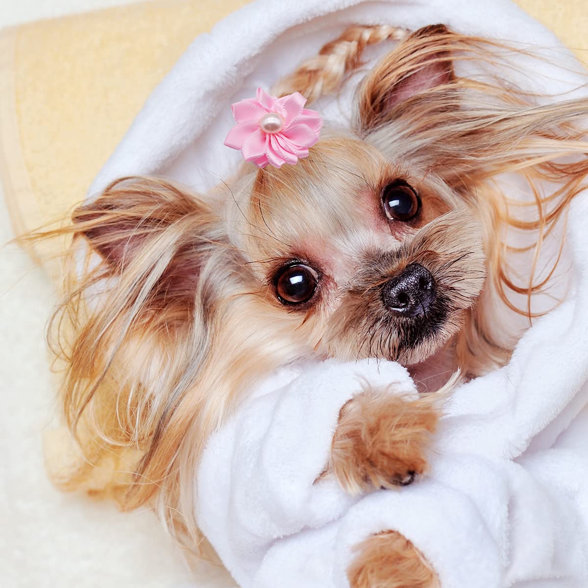 50 Pcs Cute Dog Hair Bows with Rubber Bands - Pet Topknot Bows for Small Dogs - Holiday & Party Dog Grooming Accessories - Perfect for Birthday, Christmas & Daily Styling