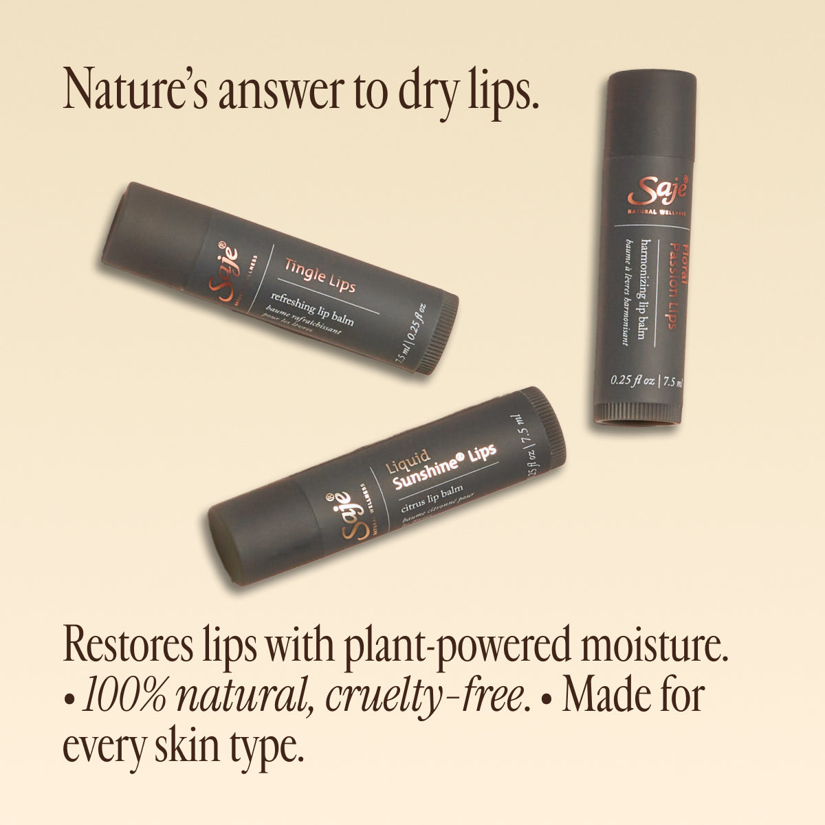 Nourishing Lip Balm Trio Set - Hydrating & Moisturizing Lip Care for Dry Lips - Perfect for Daily Use, Travel & Gifting