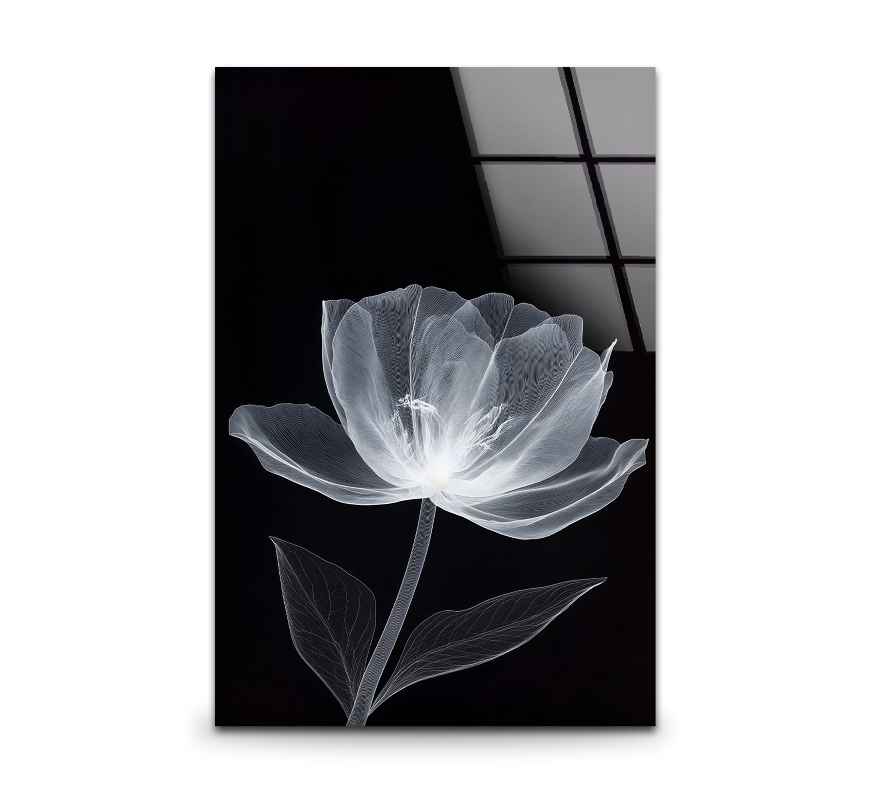 Black and White Minimal Floral Glass Wall Art - Modern Home Decor for Living Room, Bedroom & Office - Elegant Framed Glass Painting for Housewarming Gifts