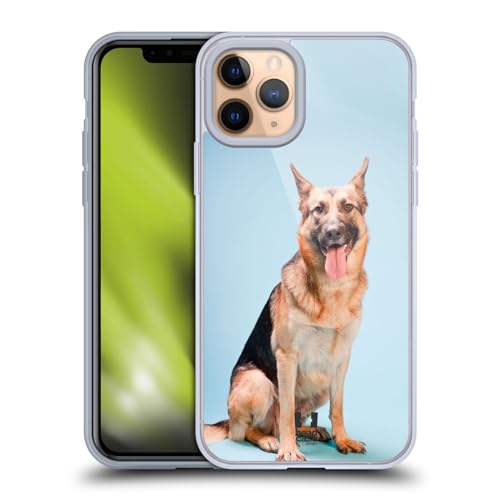 German Shepherd Dog
