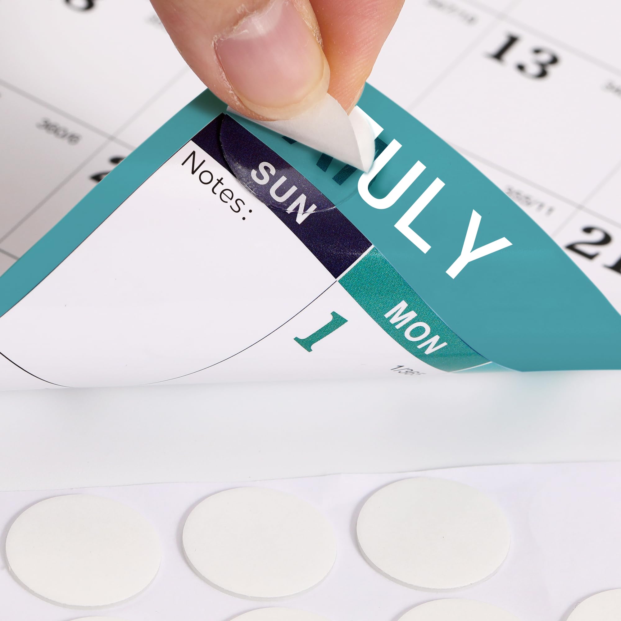 2025-2026 Dry Erase Wall Calendar - Large 48
