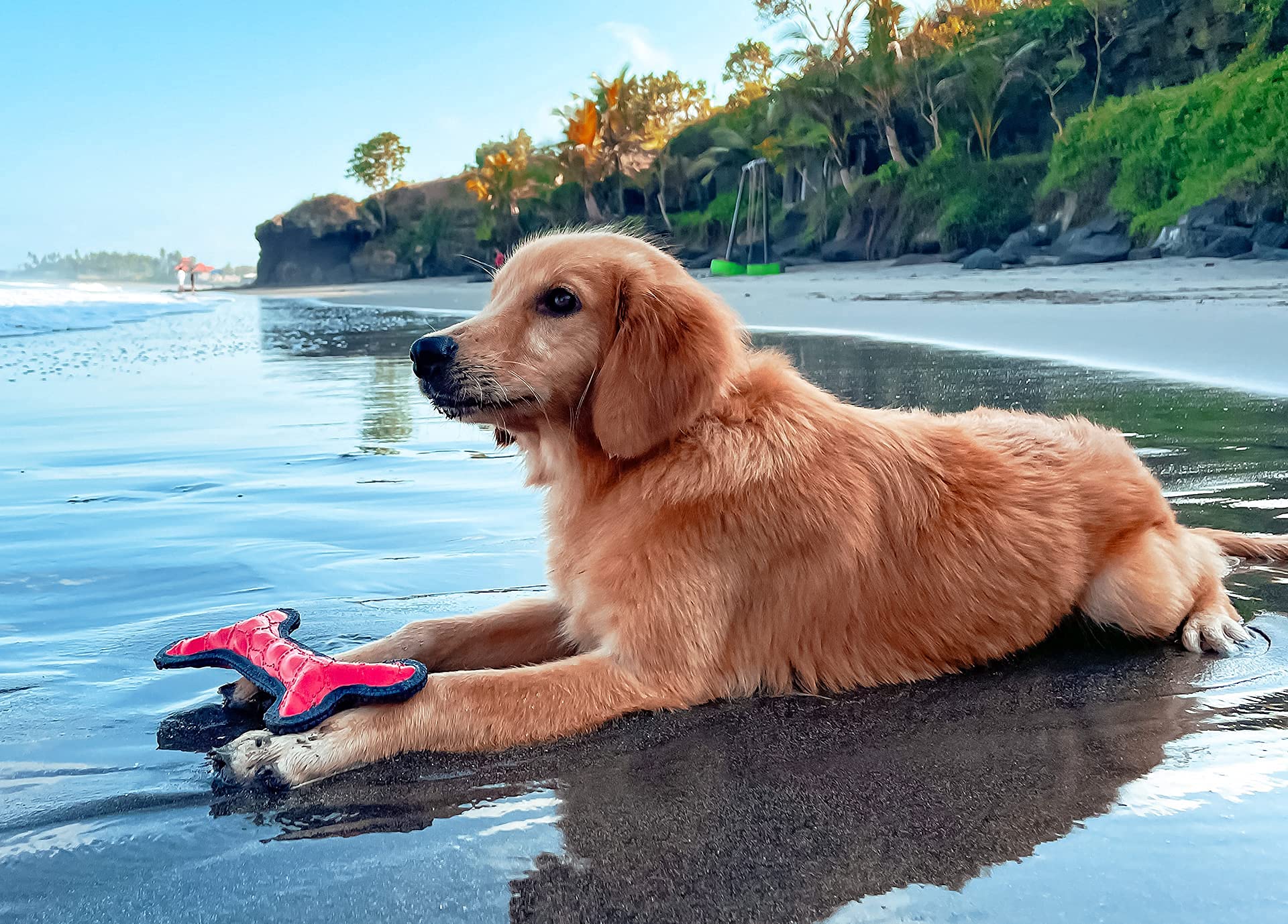 SuperChewy Tough Floating Dog Water Toy - Durable Natural Rubber Fetch Toy for Swimming & Training | Pool, Lake & Beach Fun for Puppies & Non-Aggressive Chewers | Perfect Outdoor Water Play Toy for Dogs